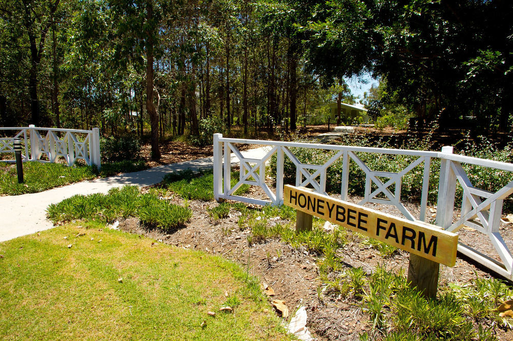 Honeybee Wellness Resort Kandanga Exterior foto